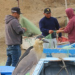 Fishermen at Barranca coast