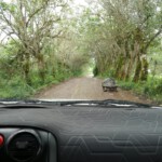 Galapagos